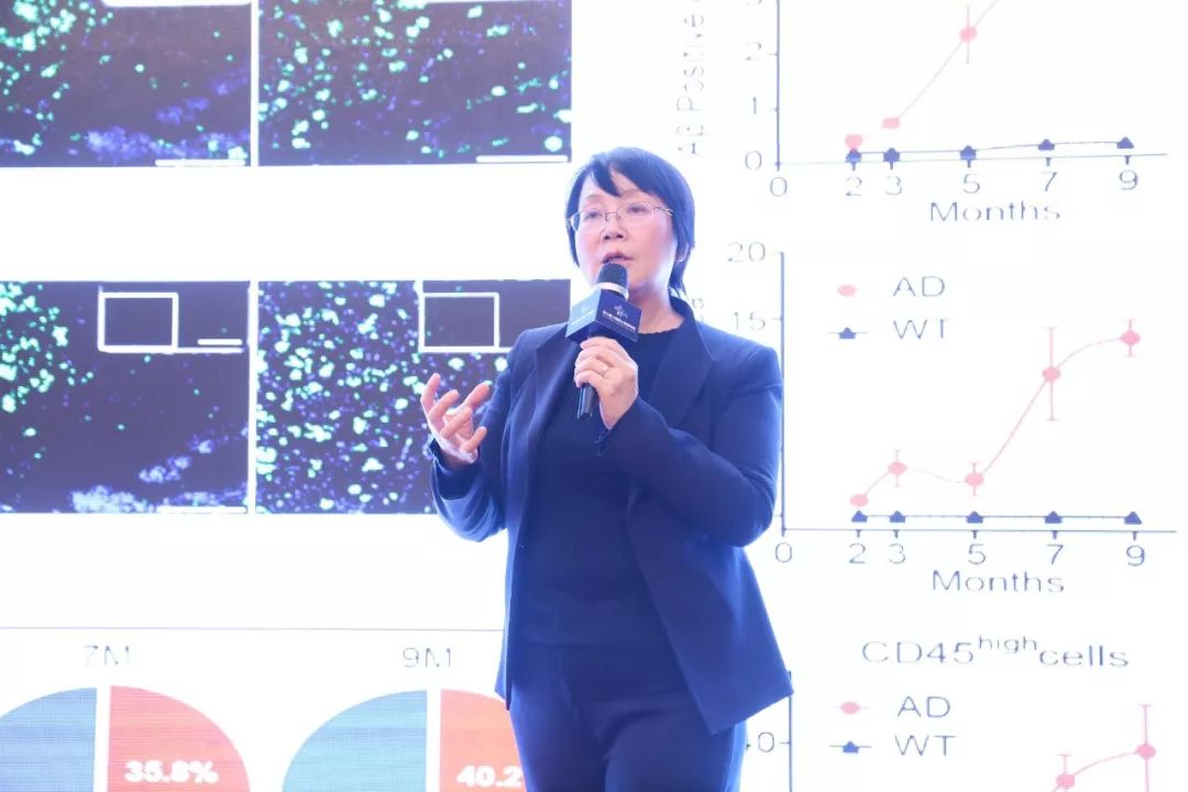 中国科学院上海药物研究所研究员耿美玉以"阿尔茨海默病治疗新药甘露