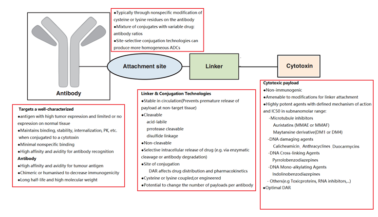 偶联药物大盘点：ADC、RDC、ISAC、SMDC、VDC、ADeC……医药新闻-ByDrug-一站式医药资源共享中心-医药魔方