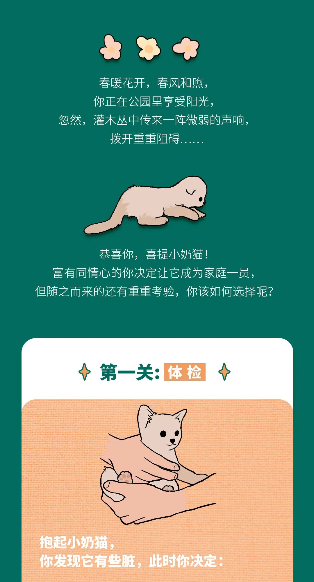 御猫太医院|第一次接驾很紧张?幼猫入门攻略来了!医药新闻-ByDrug-一站式医药资源共享中心-医药魔方